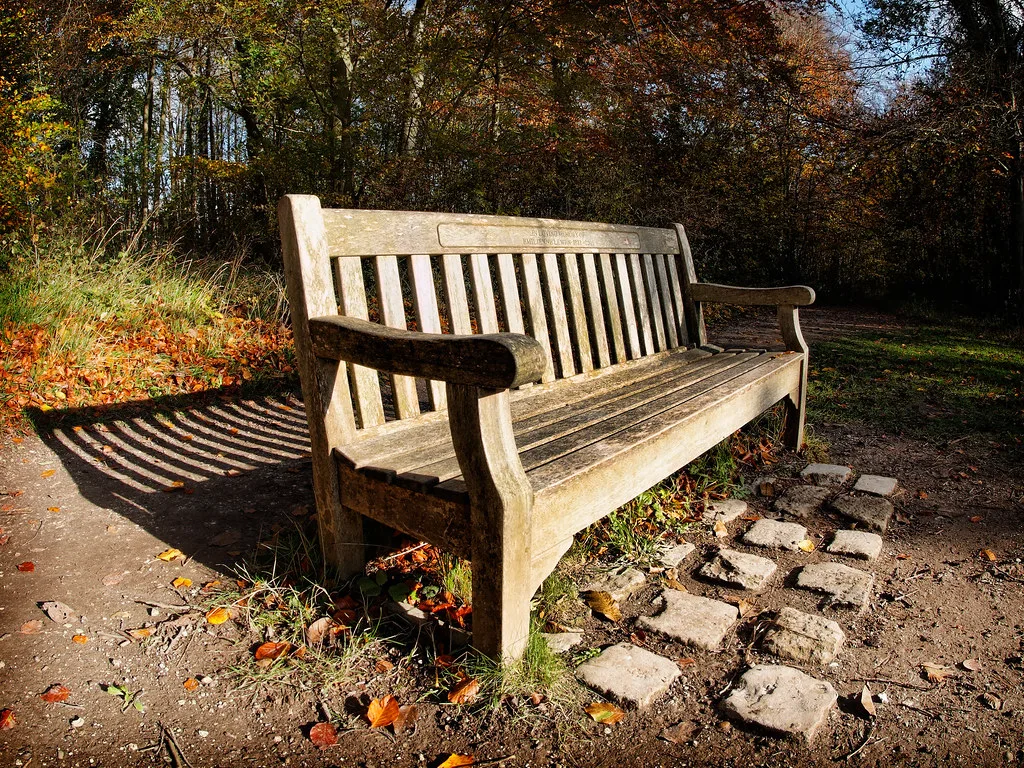 Autumn at Wandlebury Country Park, where a free Halloween trail runs through half term